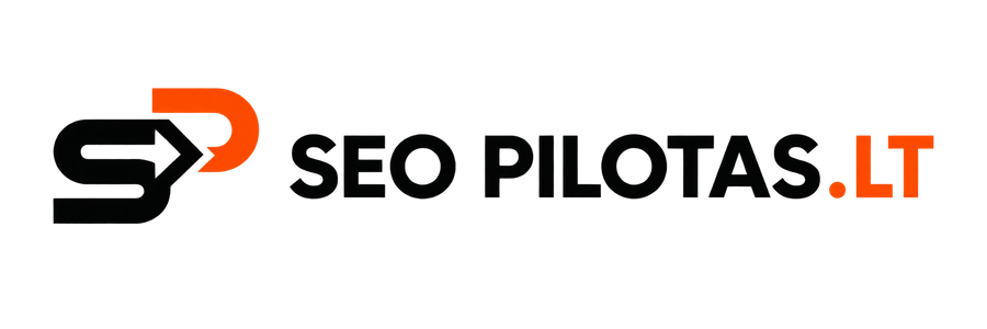 SEO PILOTAS.LT